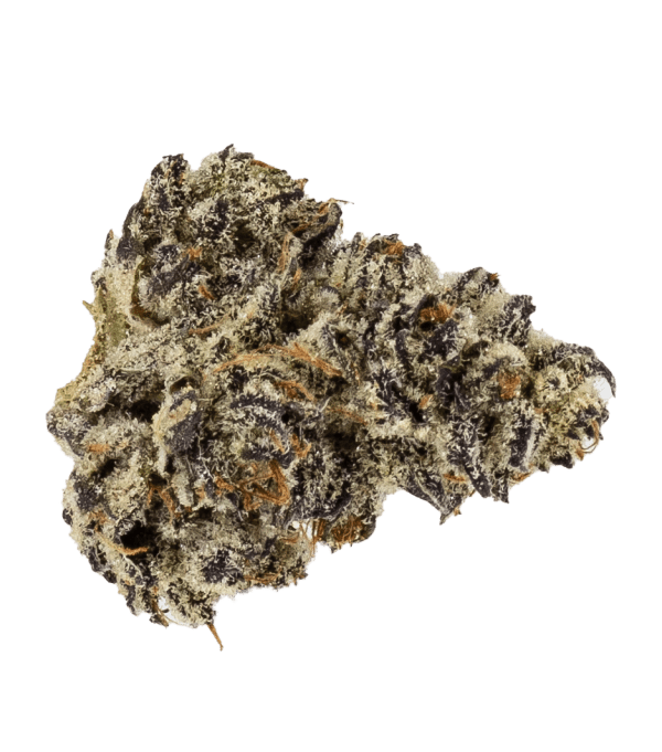 White Truffle strain